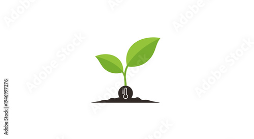 Small green seedling growing in soil.