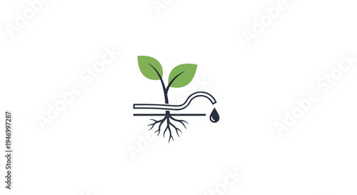 Small plant with green leaves growing.