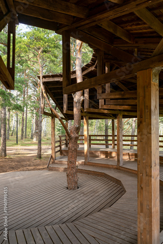 Rustic Wooden Pavilion With Tree Growing Through Deck in Pine Forest Park Shelter and Walkway