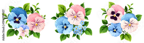 Pink and blue pansy flowers isolated on a white background. Set of vector illustrations