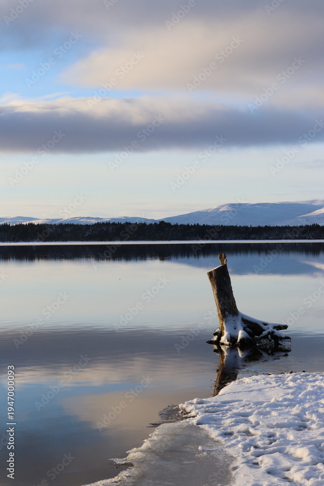Naklejka premium Scotland Loch Morlich winter