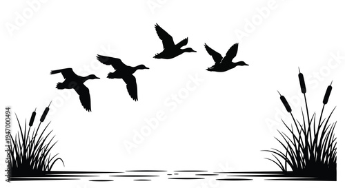 Flying ducks over water with reeds a striking black silhouette