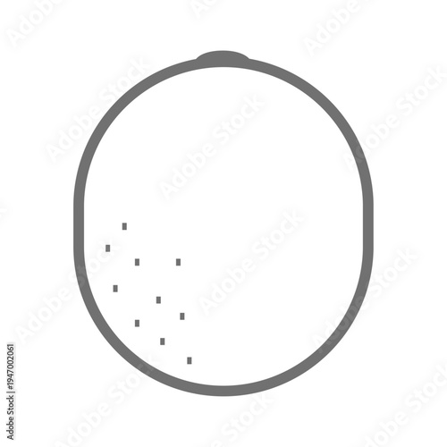 キウイのアウトラインアイコン　線画の果物イラスト