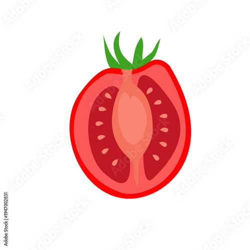 Illustration Of a Sliced Tomato 