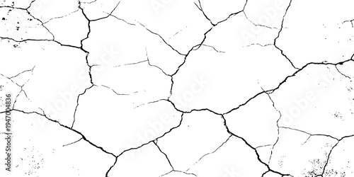 Organic cracked earth texture with natural fracture lines in bold monochrome, ideal for geological themes, decay concepts, or rustic background elements.	