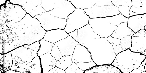 Organic cracked earth texture with natural fracture lines in bold monochrome, ideal for geological themes, decay concepts, or rustic background elements.	