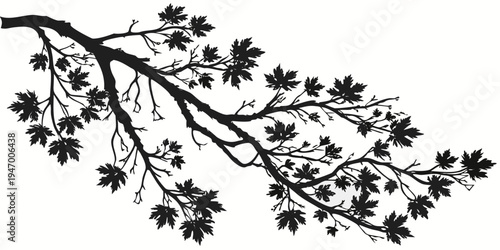 Black silhouette of a tree branch with leaves in a minimalist style for design and decoration purposes