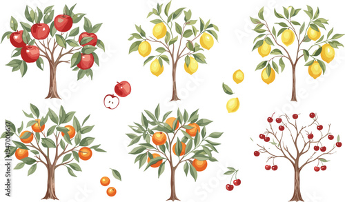 Collection of fruit trees including apple lemon orange and cherry trees with ripe fruits botanical vector illustration set