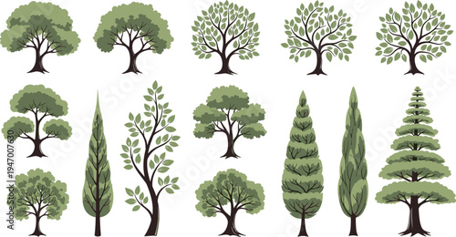 Collection of realistic green trees including deciduous and conifer varieties botanical forest elements isolated vector illustration set