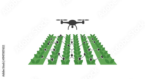 Drone flying over green crop rows.