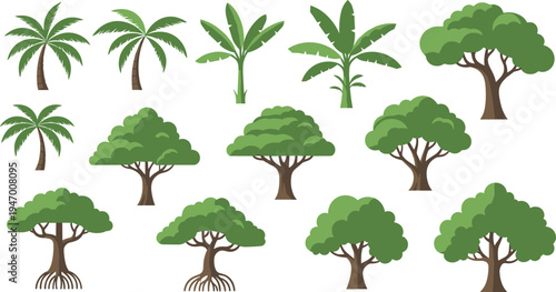 Collection of tropical trees including palm, banana and mangrove plants flat nature forest vector illustration set