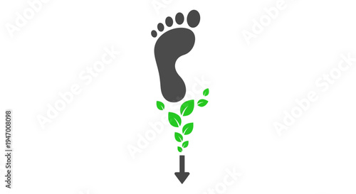 Footprint with green leaves falling.