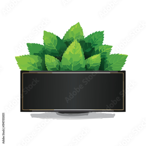 Fresh green mint leaves with a black rectangular label on white background