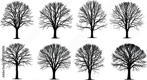 Leafless tree silhouettes collection, winter forest trees set with detailed branches, black nature tree elements for landscape and botanical design
