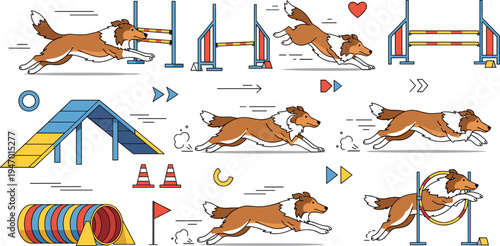 Dog Agility Training Animation Set with Collie Jumping Over Obstacles, Tunnel, Ramp and Hoops for Pet Sport Movement Sequence Cartoon Illustration