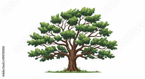 Large Green Oak Tree Illustration