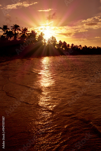Paradise beach sunset landscape with tropical palm trees silhouettes.