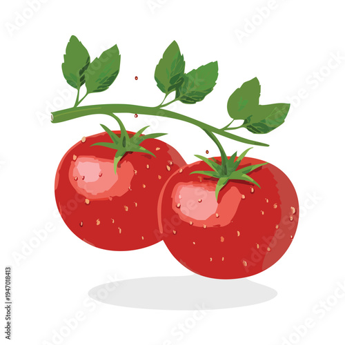 Fresh red tomatoes with green leaves isolated on white background vector illustration