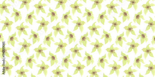 Seamless Pattern Kola Nut Tropical Flowers from Cola Tree