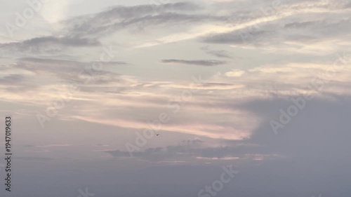 Lone Bird Against The Wind