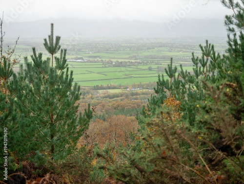 View from a wooded hillside overlooking rolling green fields and distant hills in Ireland, autumn landscape.