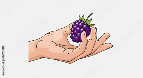 A hand holds a cluster of dark purple berries with green leaves