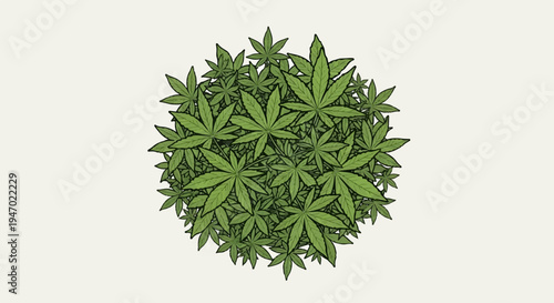 A top-down illustration of a lush, circular arrangement of green cannabis leaves on a pale backdrop