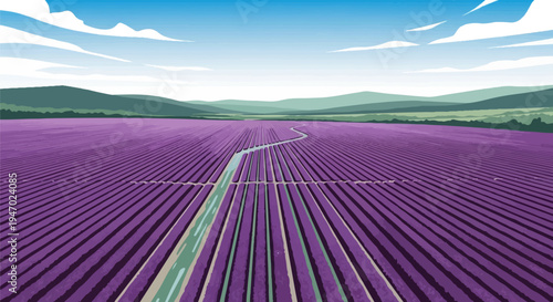 Expansive lavender field under a vast blue sky with rolling hills