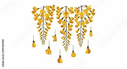 Delicate yellow flower clusters cascade from branches against a white background