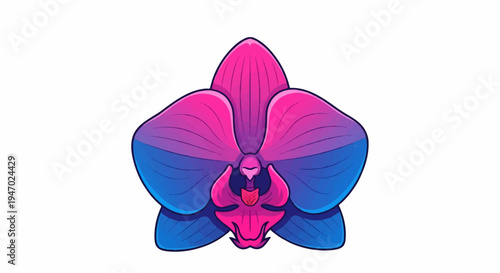A vibrant orchid with pink and blue petals, presented as a stylized illustration against a white background