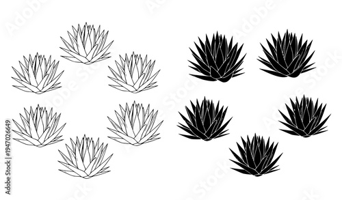 Black and white agave plant icons outline and silhouette desert botanical vector set