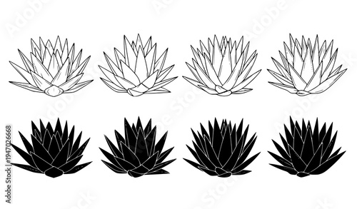 Agave plant icon set outline and silhouette cactus botanical vector illustration