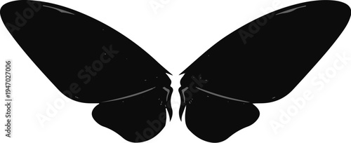 Silhouette of large black butterfly wings, with subtle grey accents