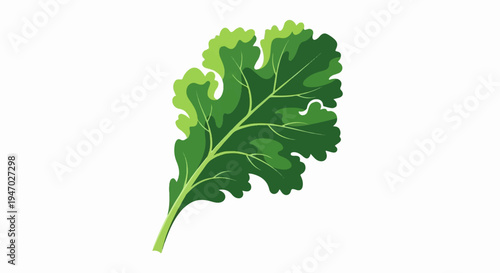 Stylized green leaf with ruffled edges and visible veins