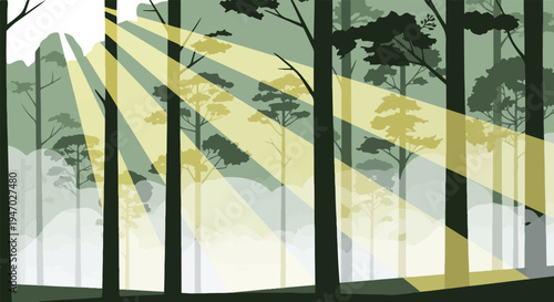 Sunbeams pierce a dense forest, illuminating silhouetted trees and hazy undergrowth
