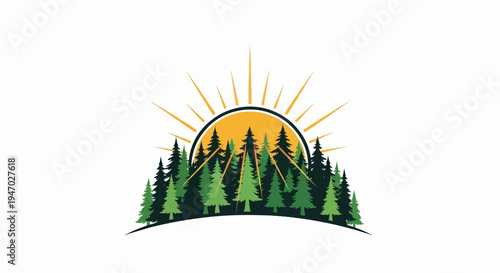 Sunrise over a dense evergreen forest, with radiating sunbeams