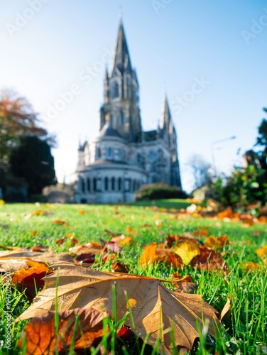 St. Fin Barre's Cathedral in Cork, Ireland, framed by autumn leaves on a sunny day, symbolizing heritage and history.