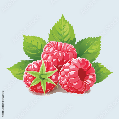 Vibrant vector illustration of fresh raspberries and green leaves on light background