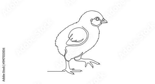 Minimalist single line drawing of a cute chick walking, isolated on white background.