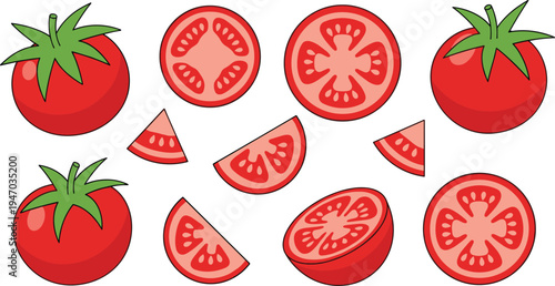 Fresh tomato vector set with whole tomatoes, slices and wedges, organic red vegetable collection for cooking ingredients, healthy food illustration