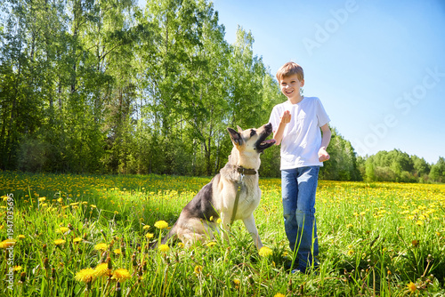 Young boy enjoys sunny day outdoors playing with a dog in a blooming field filled with dandelions and vibrant greenery