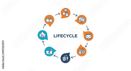 Business Lifecycle Process Infographic with Circular Workflow and Icons for Development, Strategy & Management
