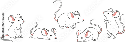 Cartoon white mice collection with pink ears, noses, and tails in different poses, cute animal illustration for children’s educational design, farmyard wildlife artwork clipart