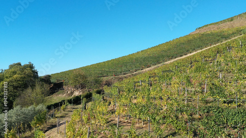 Barbaresco village and Langhe vineyards in Piedmont, Italy