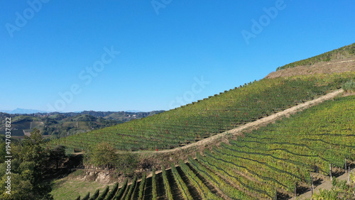 Barbaresco village and Langhe vineyards in Piedmont, Italy