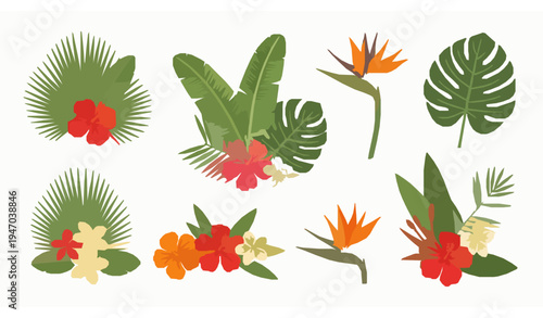 Tropical leaves and exotic flowers vector set with palm banana leaf hibiscus plumeria and bird of paradise flat botanical collection