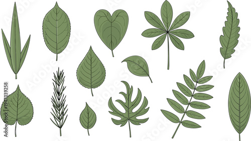 Hand drawn green botanical leaves collection with tropical and forest foliage natural plant elements decorative vector illustration set