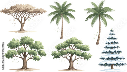 Hand drawn trees collection with palm oak pine and tropical forest trees botanical nature vector illustration set