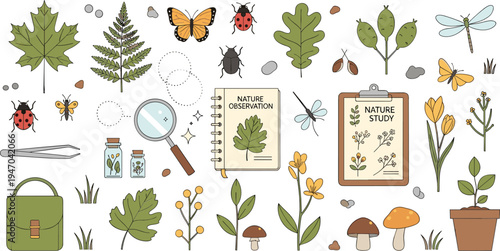 Nature observation exploration set with leaves insects magnifying glass notebook plants mushrooms field study education cartoon vector illustration collection