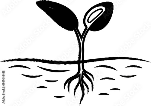 Black and white illustration of a plant seedling growing from seed underground